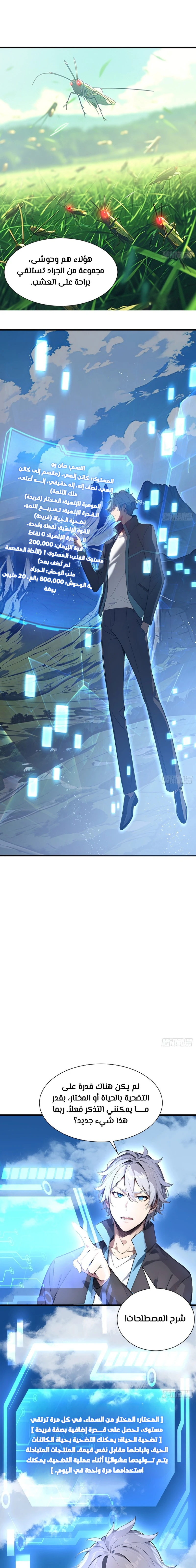 Chapter Image 7